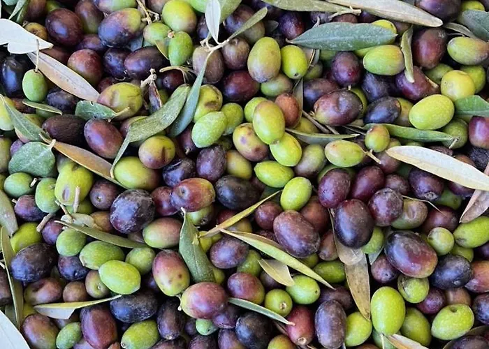 Casa Bicocchi * Lanciole