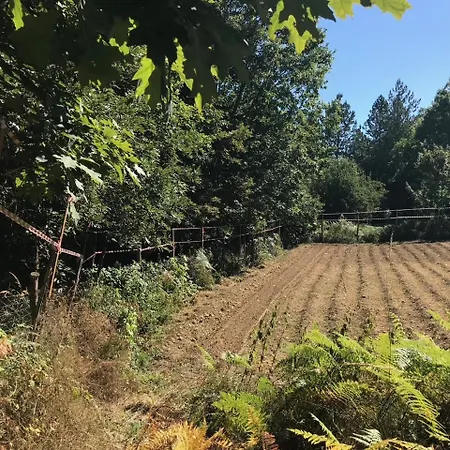 Casa Bicocchi Farmház *