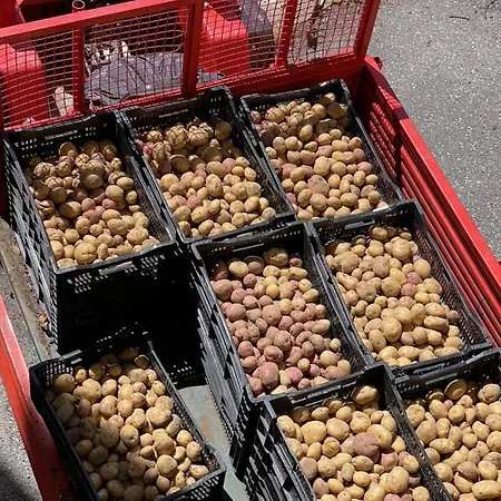 Farm stay Casa Bicocchi *