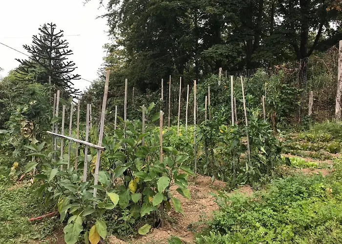 Casa Bicocchi Lanciole