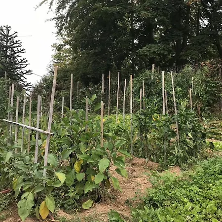 Casa Bicocchi Lanciole
