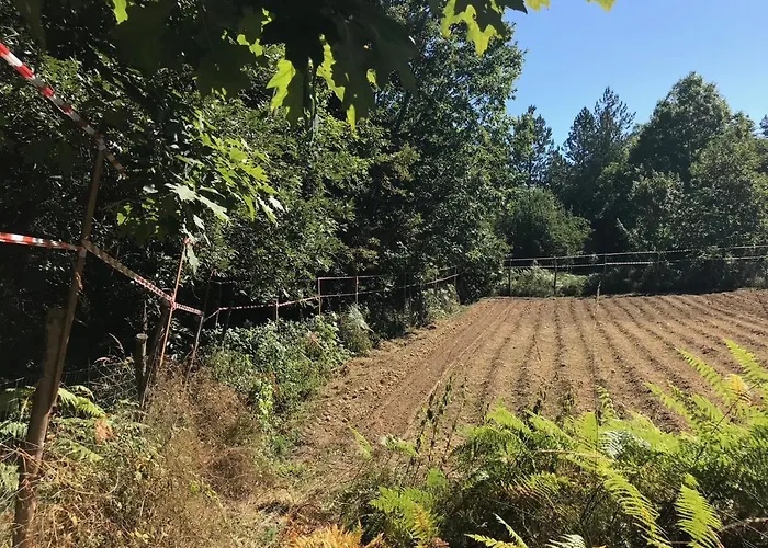 Casa Bicocchi ファームステイ *