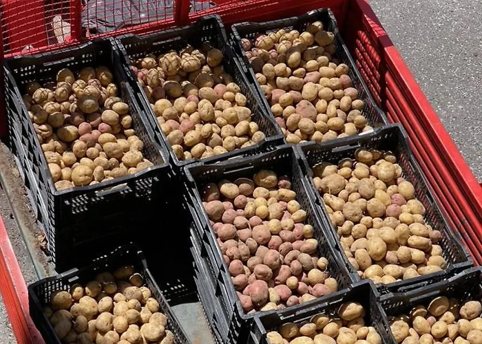 ファームステイ Casa Bicocchi *